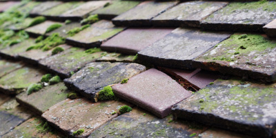 Ufton Nervet roof repair costs